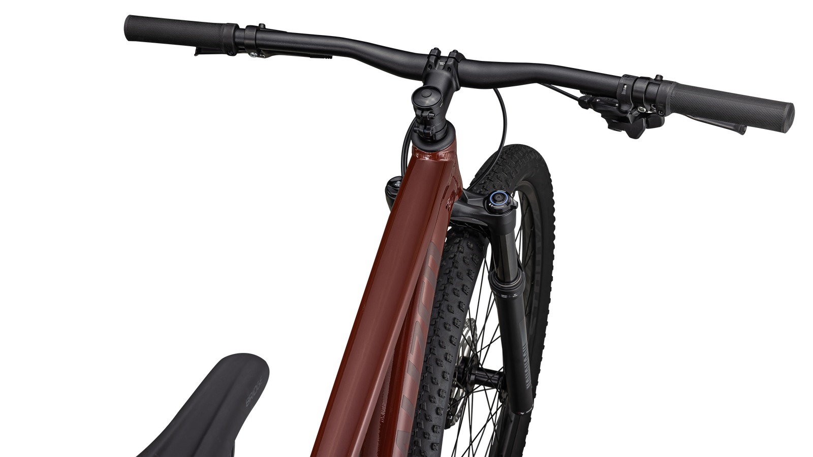 Rockhopper Expert 29