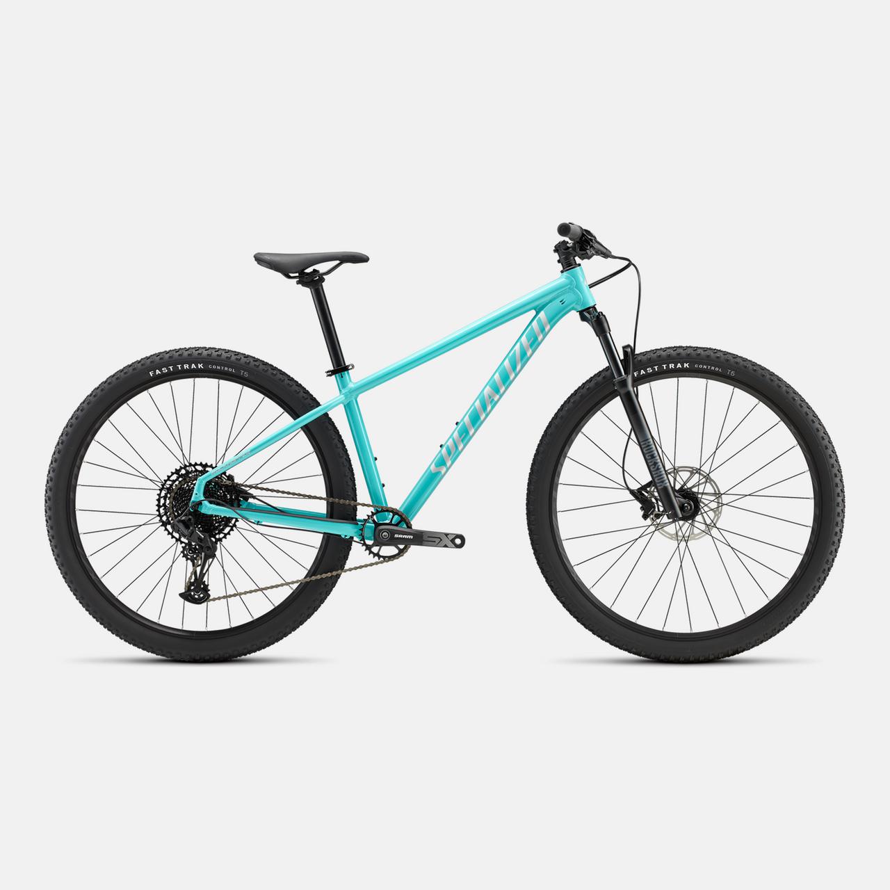 Specialized MOUNTAIN GLOSS LAGOON BLUE / SATIN LIGHT SILVER / L Rockhopper Expert 29