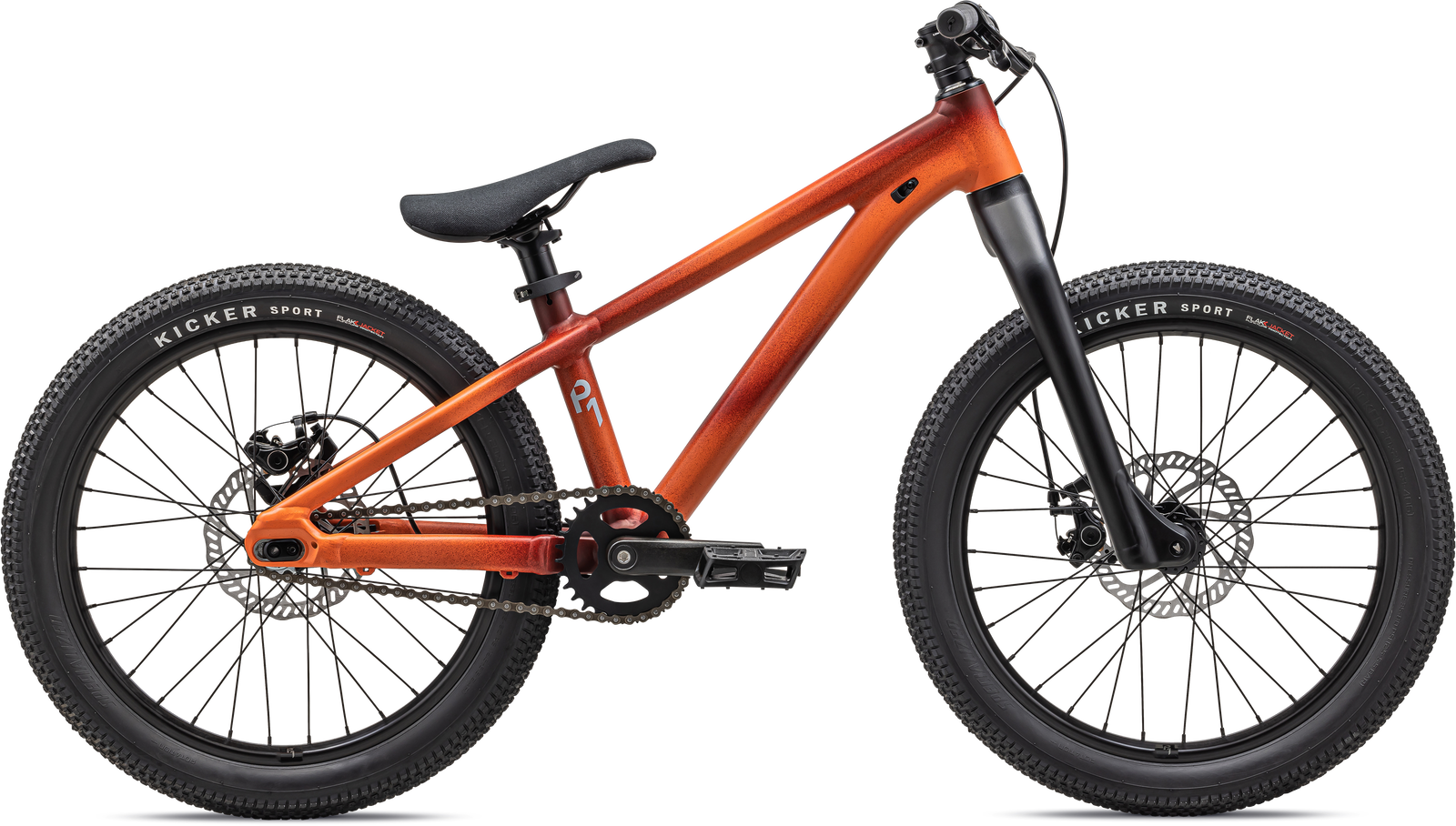 Specialized MOUNTAIN P.1