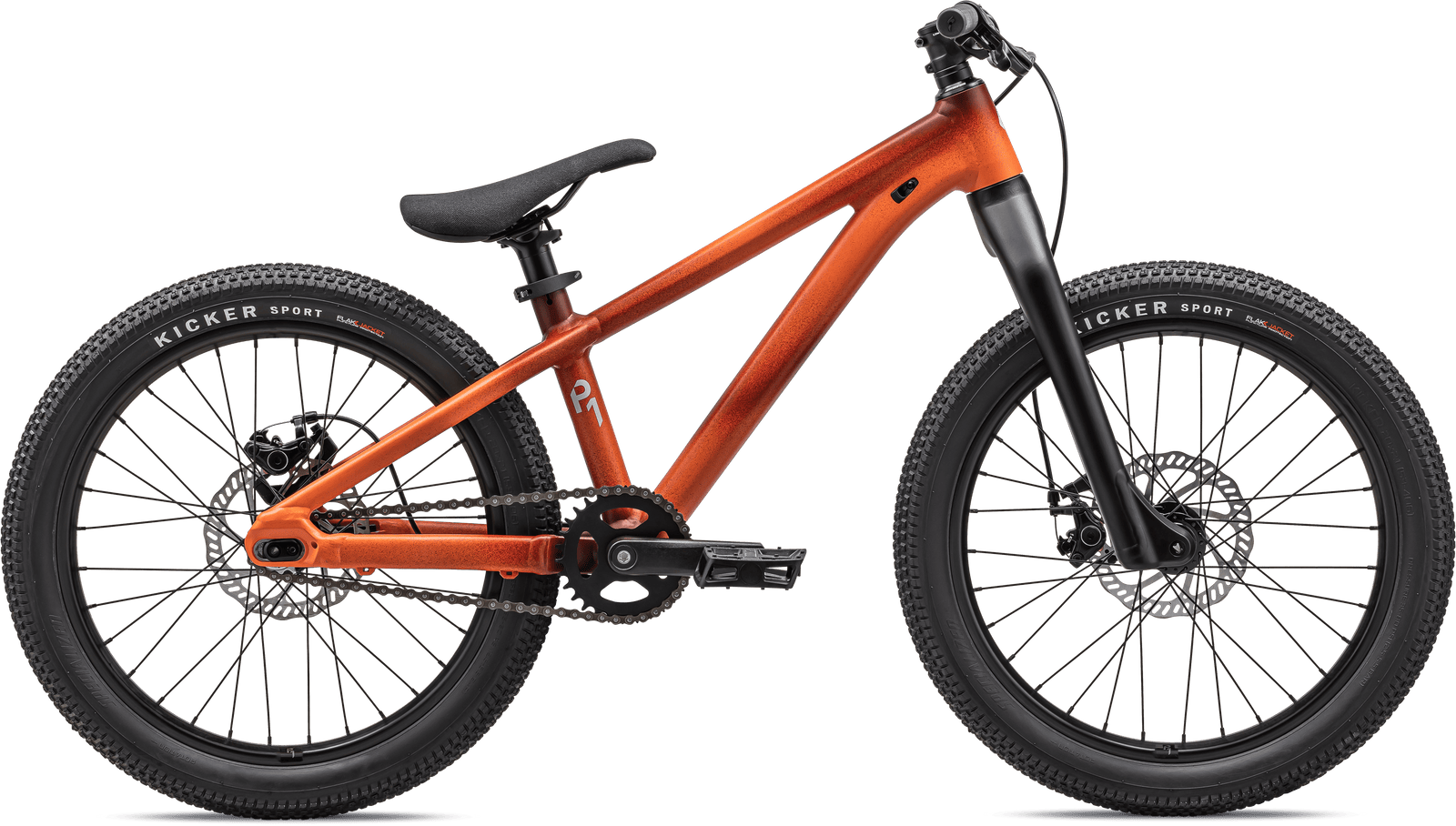 Specialized MOUNTAIN P.1