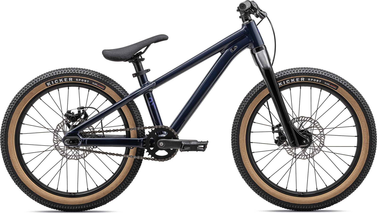 Specialized MOUNTAIN P.1