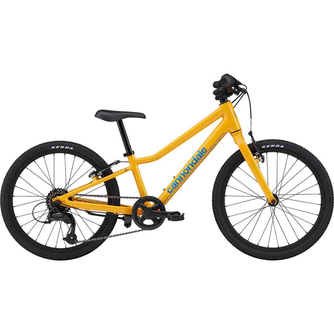 Kids Quick 20