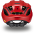 Align II