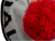 New Era Pom Specialized Beanie