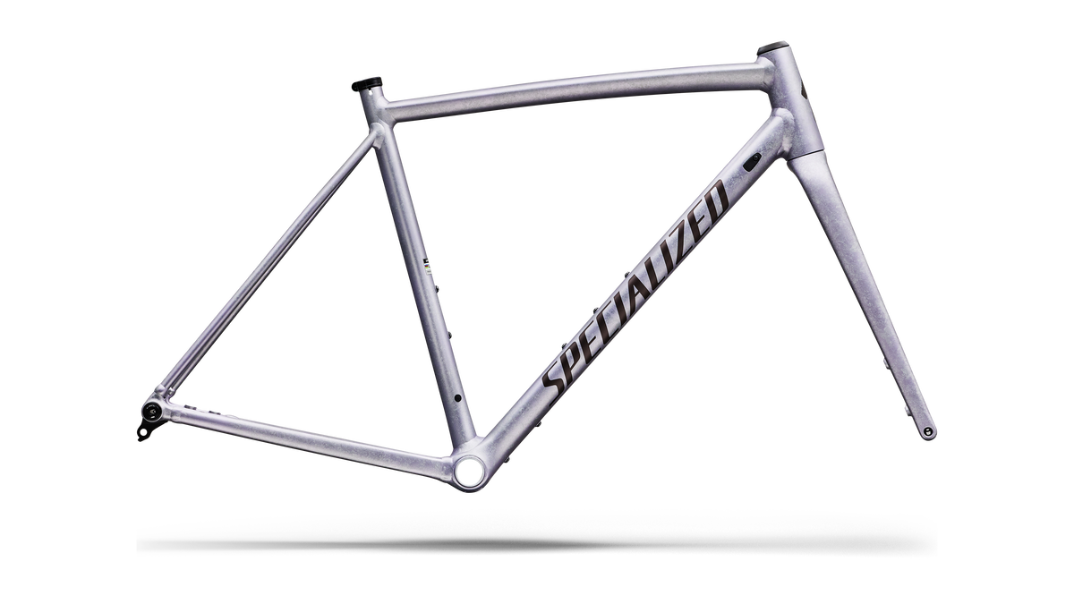 Crux DSW Frameset - D'Aluisio Smartweld Alloy
