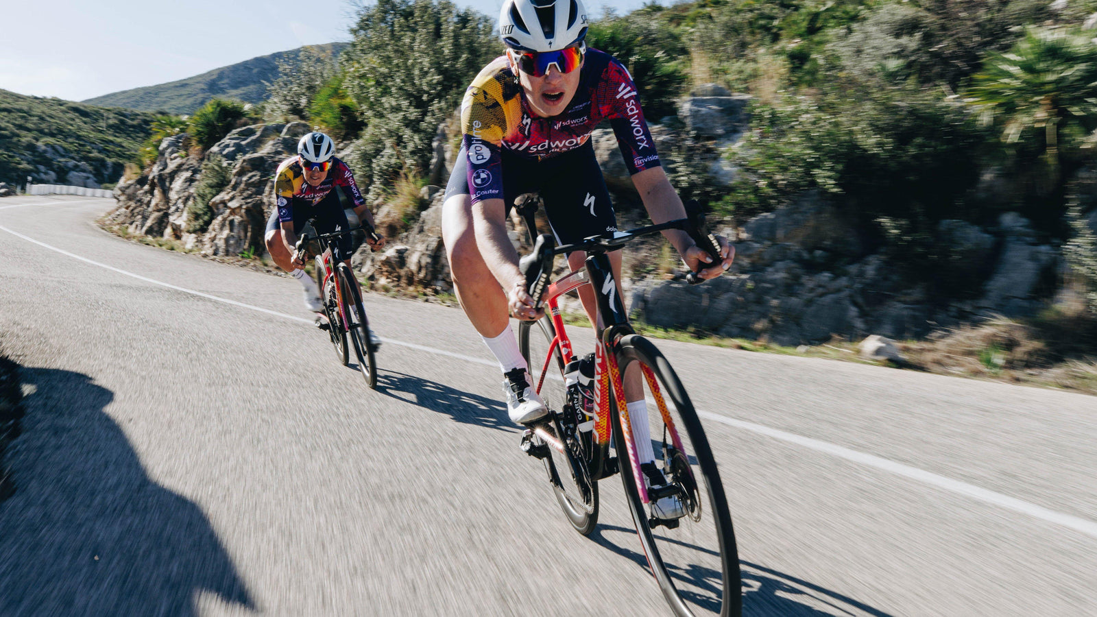 S-Works Tarmac SL8 Team Frameset: SD Worx - Protime