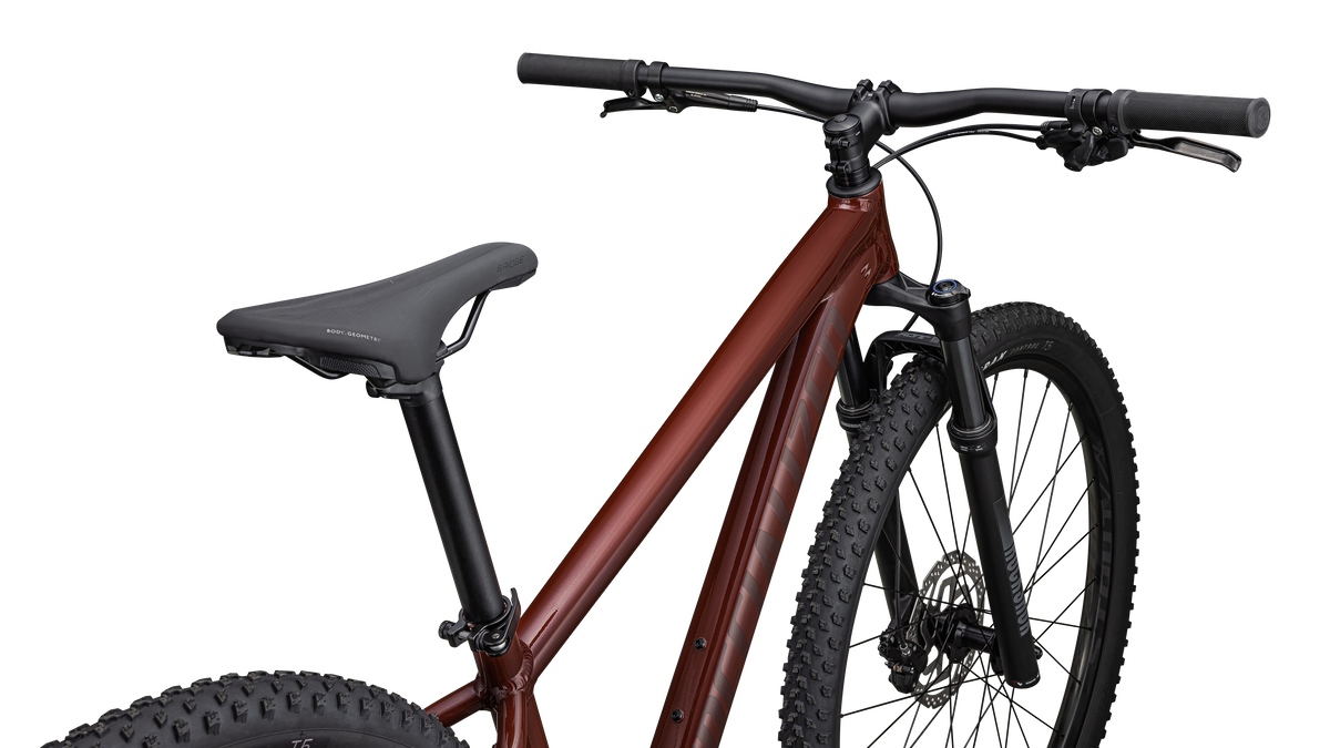 Rockhopper Expert 29