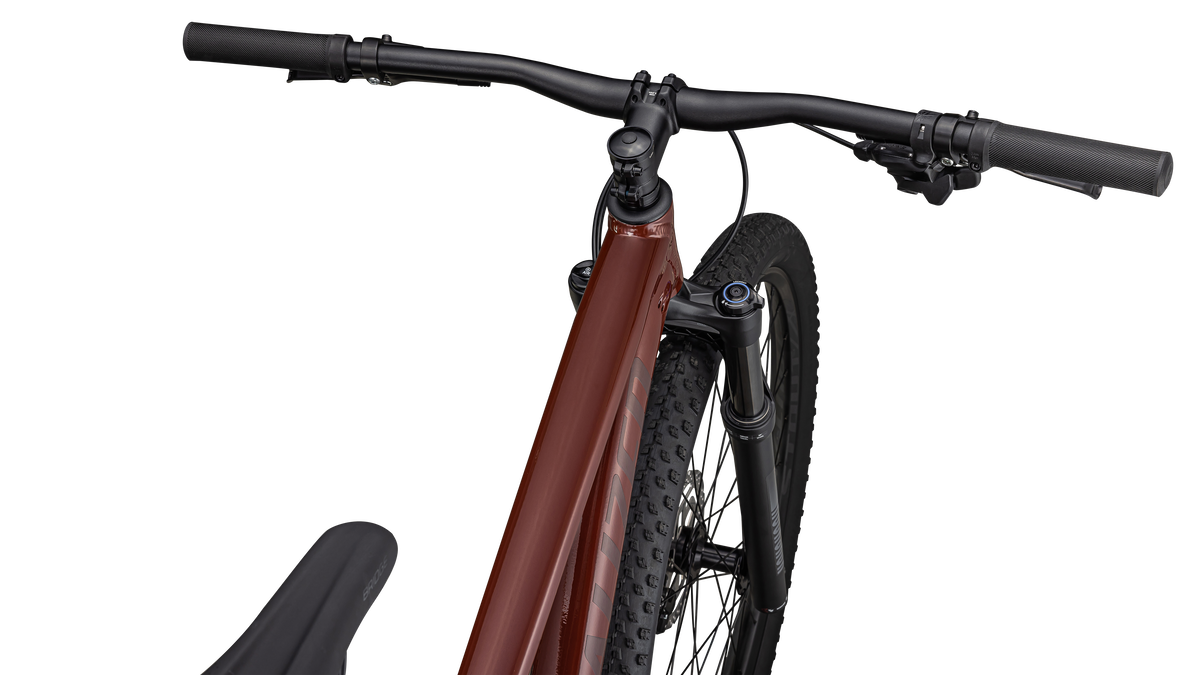 Rockhopper Expert 29