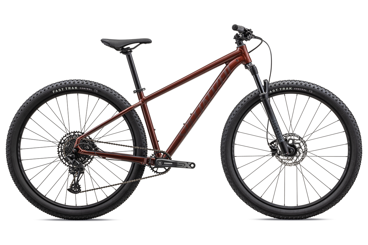 Rockhopper Expert 29