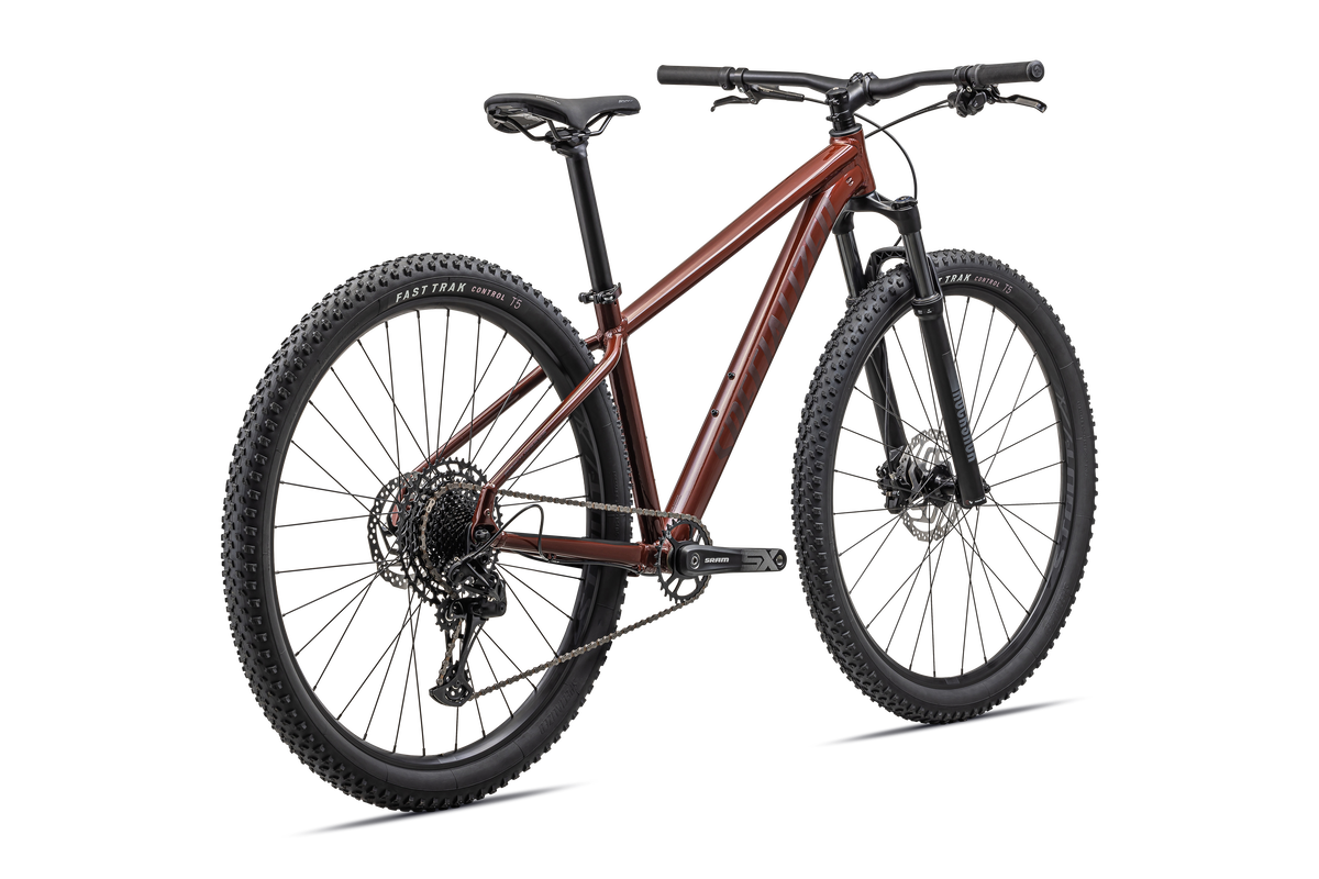 Rockhopper Expert 29