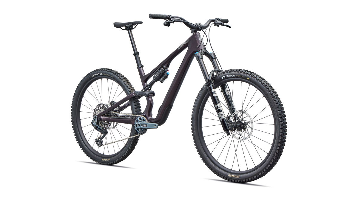 Stumpjumper 15 EVO Expert AXS