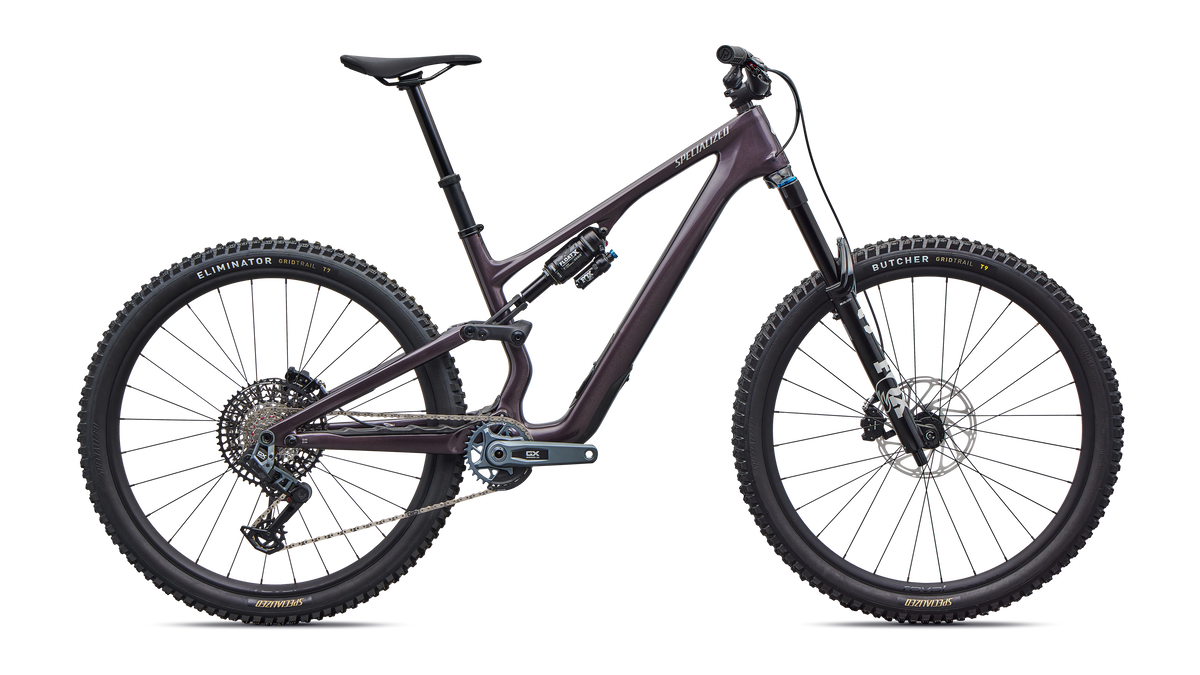 Stumpjumper 15 EVO Expert AXS