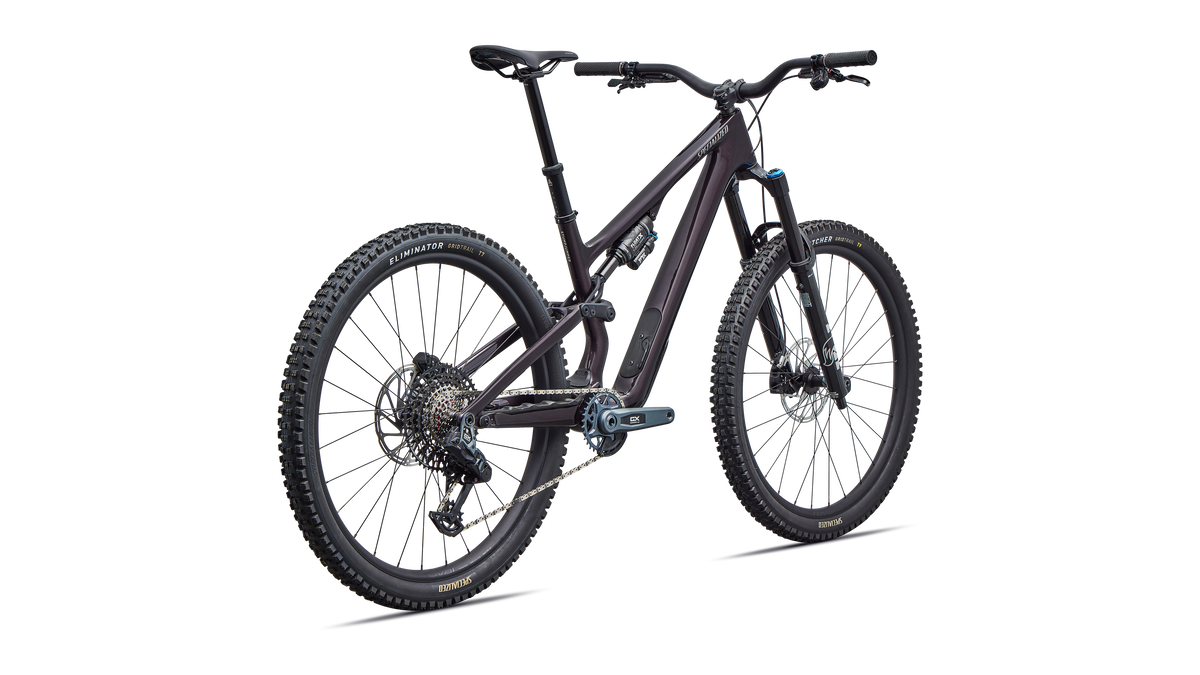 Stumpjumper 15 EVO Expert AXS