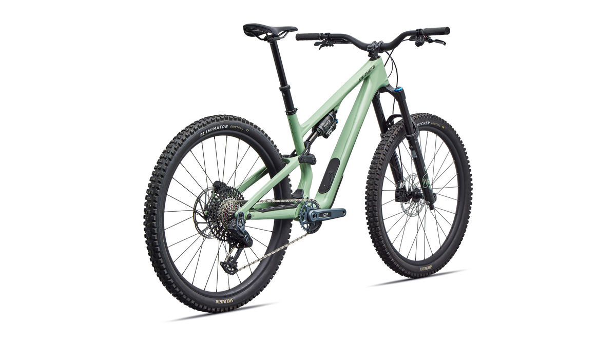 Stumpjumper 15 EVO Expert AXS