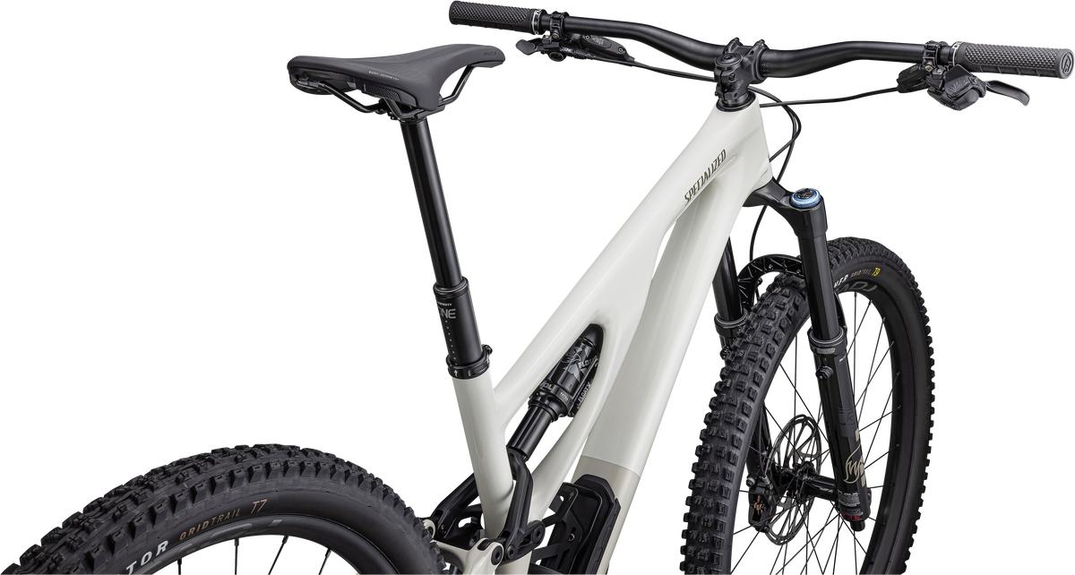 Stumpjumper EVO Expert