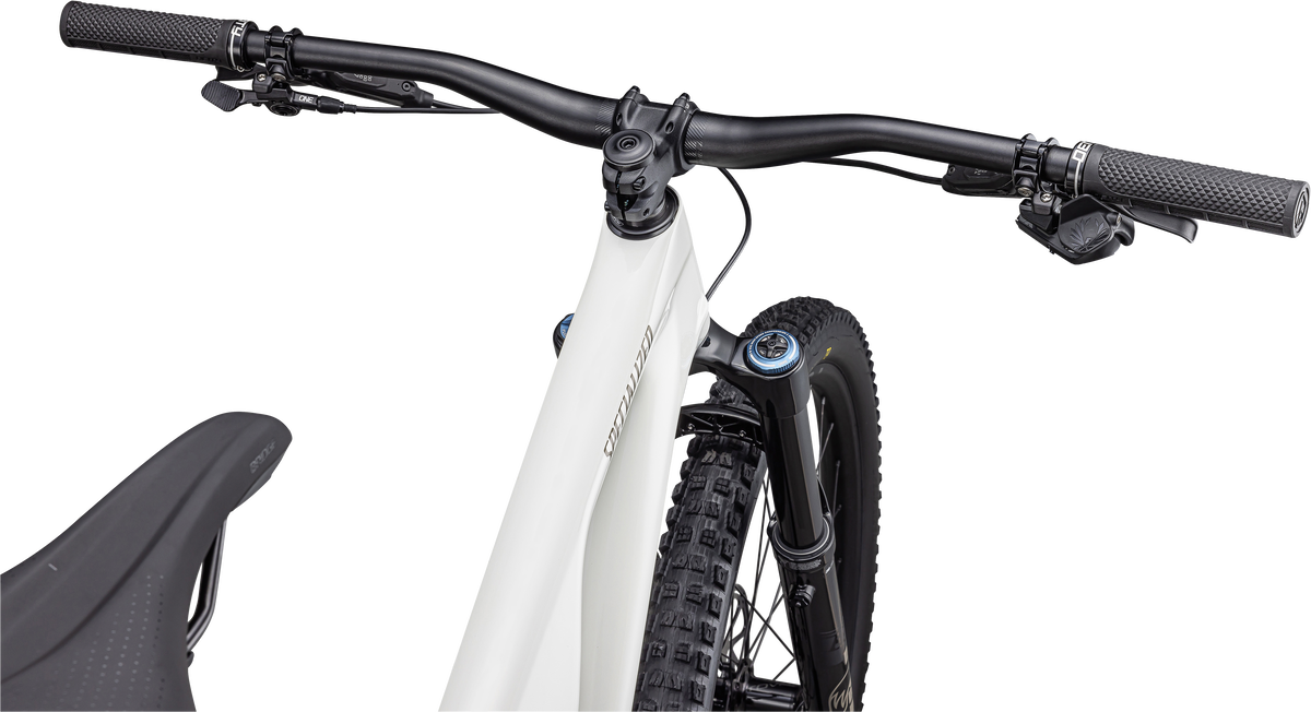 Stumpjumper EVO Expert