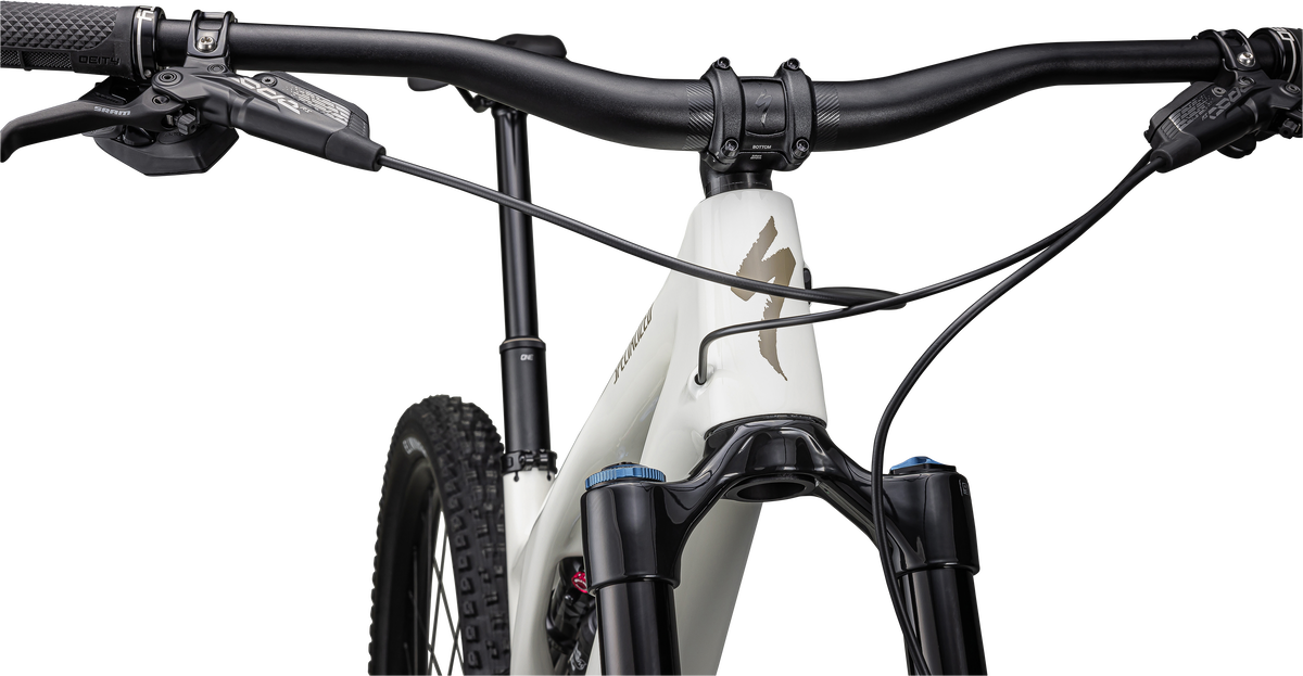 Stumpjumper EVO Expert