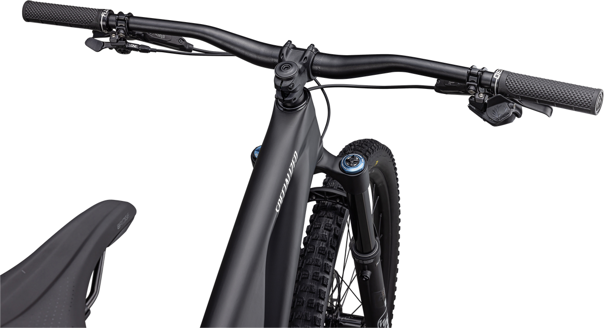 Stumpjumper EVO Expert