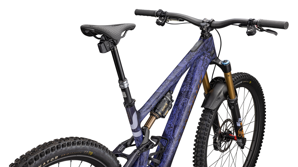 S-Works Turbo Levo SL 2