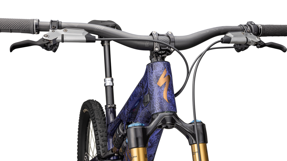 S-Works Turbo Levo SL 2