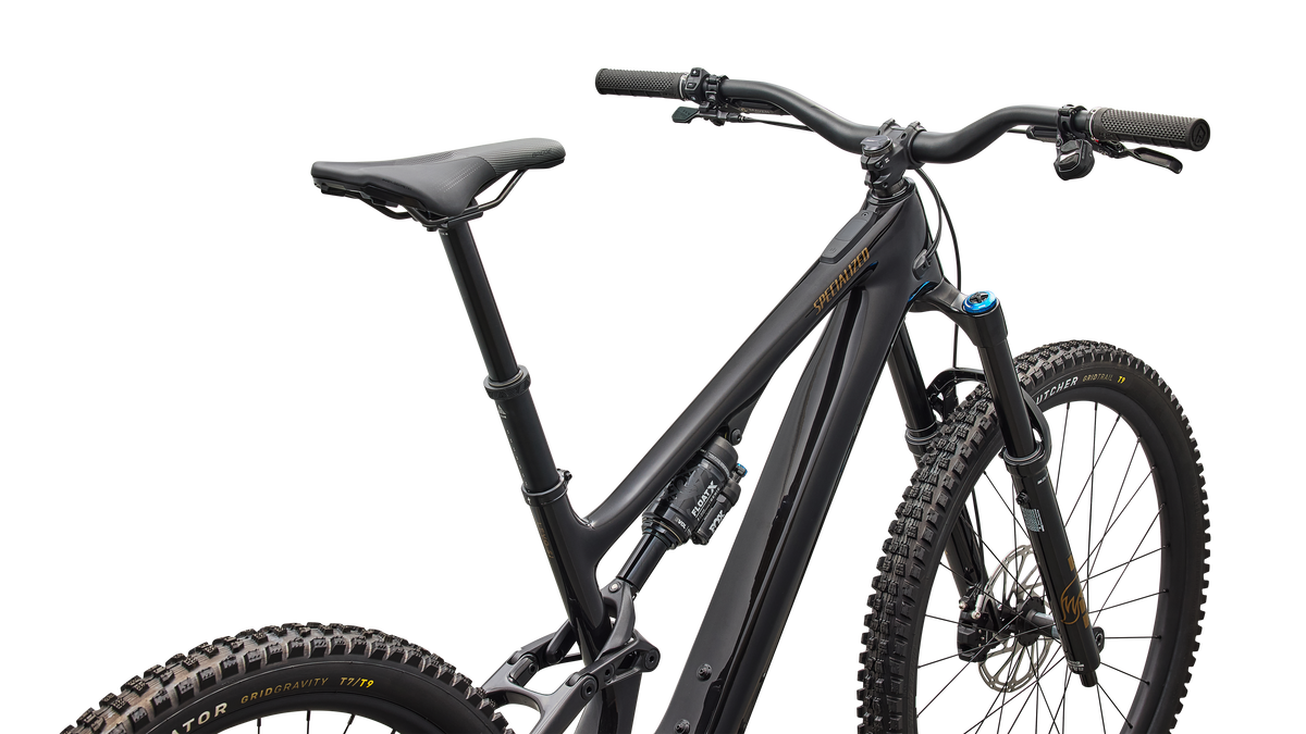 Turbo Levo SL 2 Expert