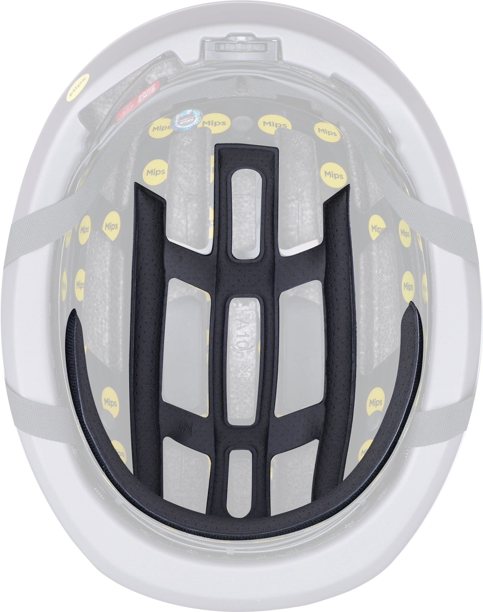 Specialized FITNESS Mode