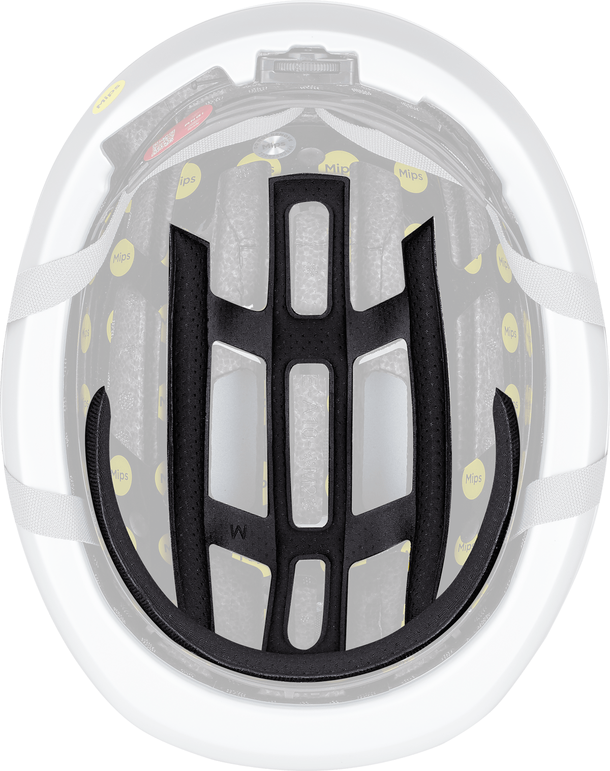 Specialized FITNESS Mode