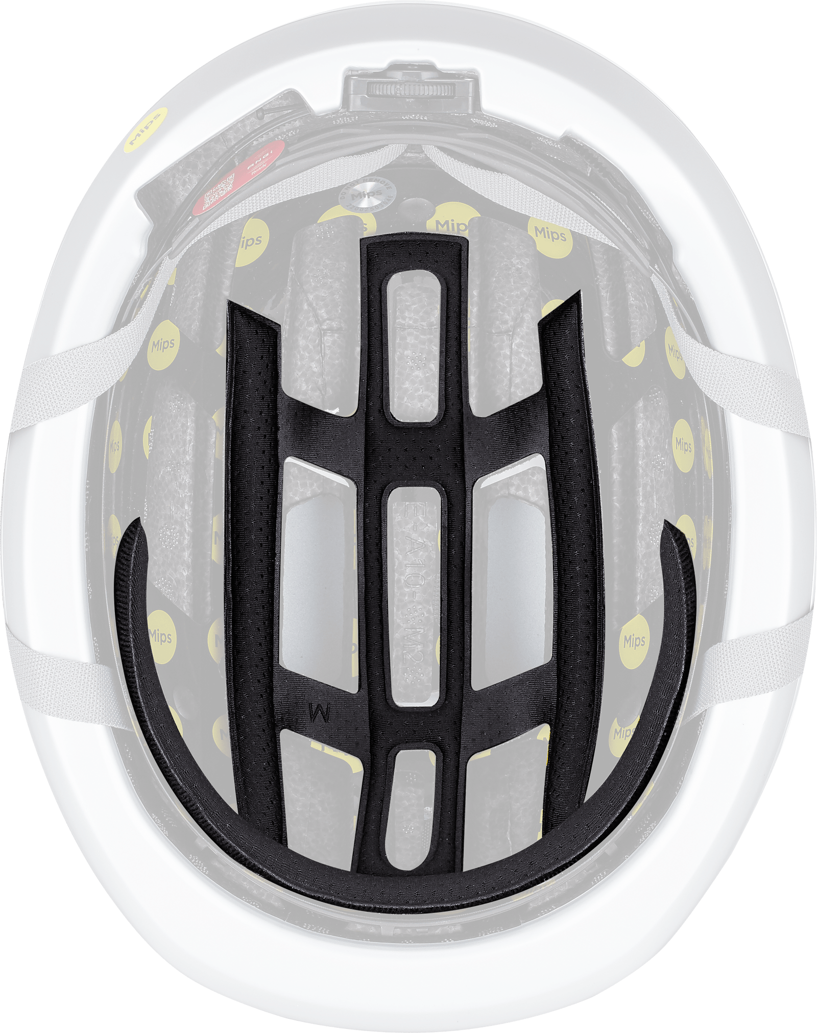 Specialized FITNESS Mode