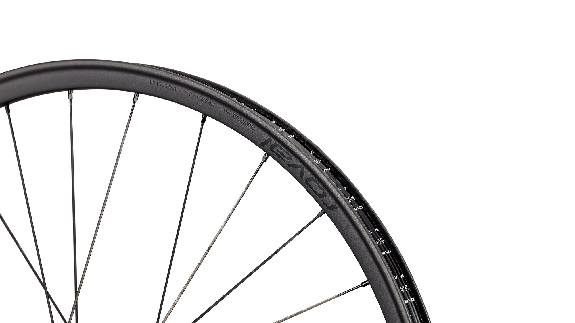 Specialized MOUNTAIN Satin Carbon/Gloss Black / 29 Front 28H Roval Traverse HD 350 6B