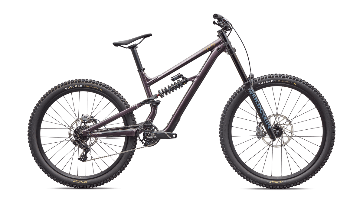 Specialized MOUNTAIN STATUS 2 170 DH