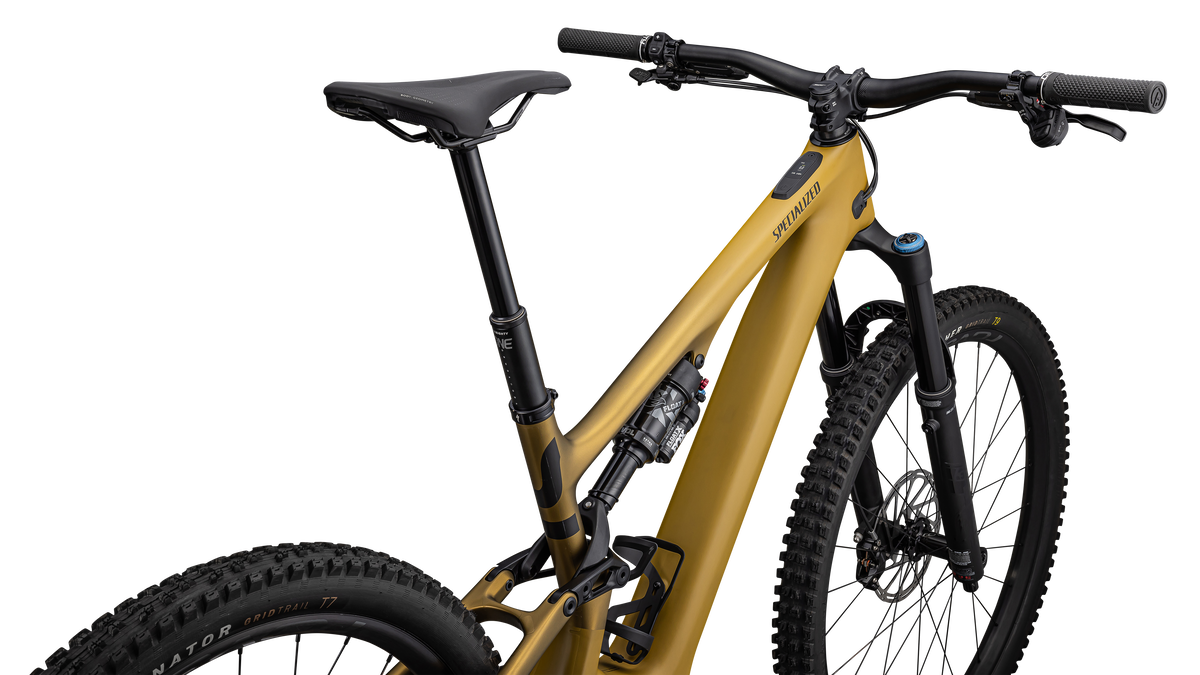 Specialized MOUNTAIN Turbo Levo SL 2 Expert Carbon